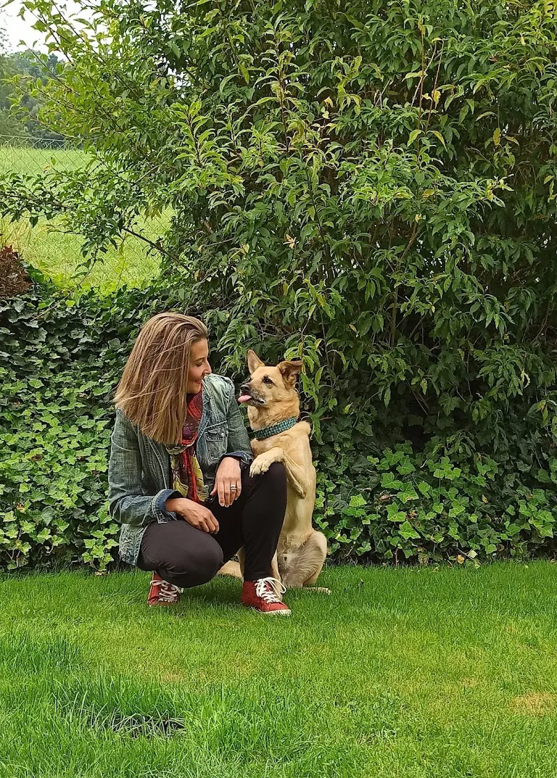 Barferie Katrin Sollberger – BARF Shop — Animalerie, Salmsach, Thurgovie. Foto 2