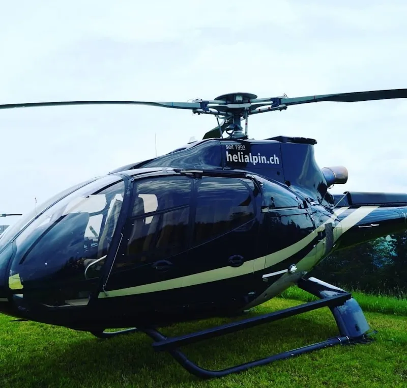 Biowelt Amriswil — Zoofachhandel, Amriswil, Thurgau. Foto 2