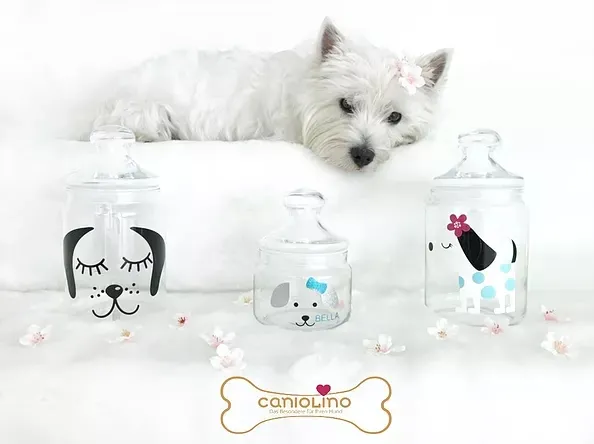 Caniolino — Zoofachhandel in Berg, Thurgau. Bewertung 4.9/5.