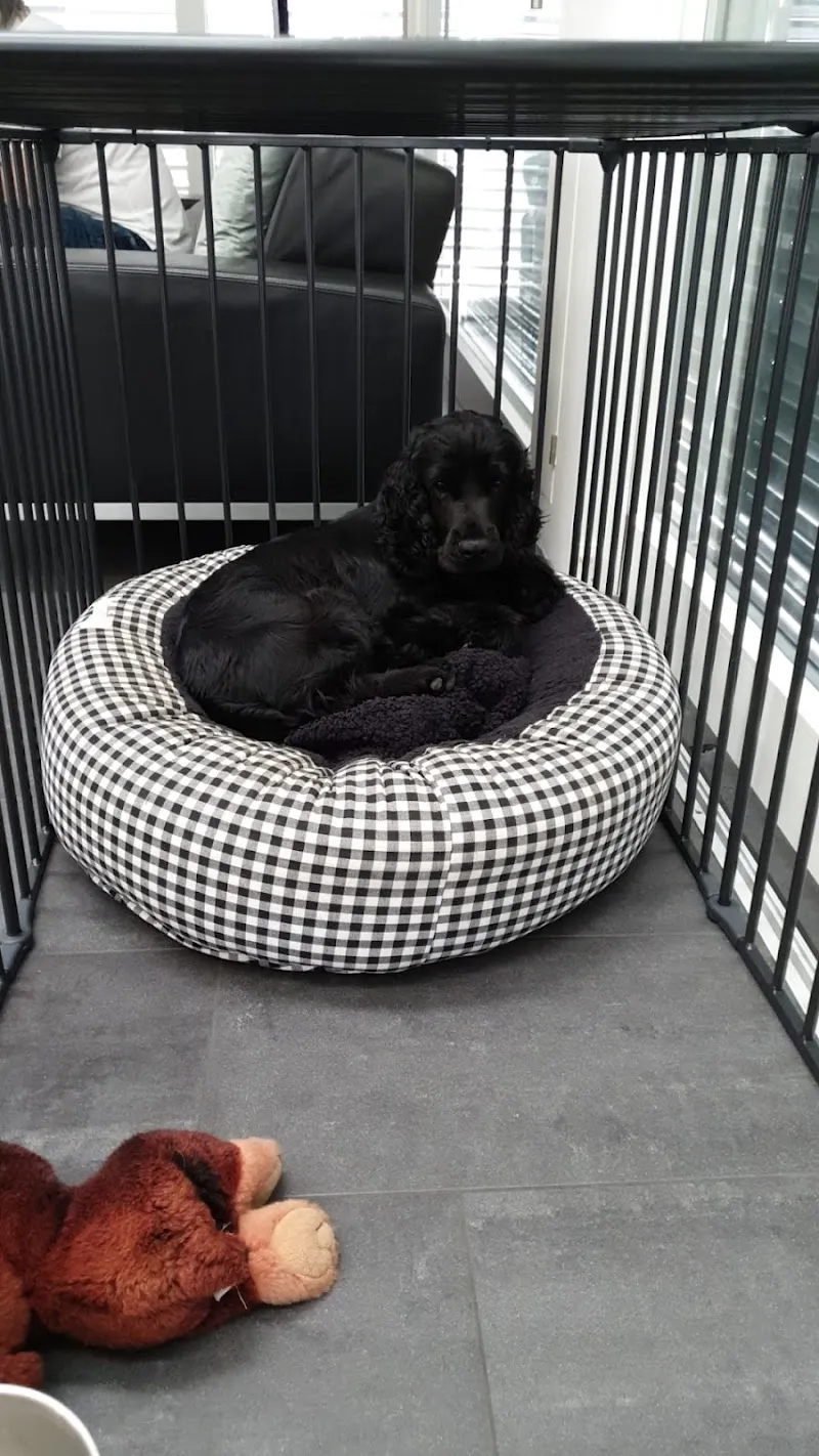 Caniolino — Animalerie, Berg, Thurgovie. Foto 3