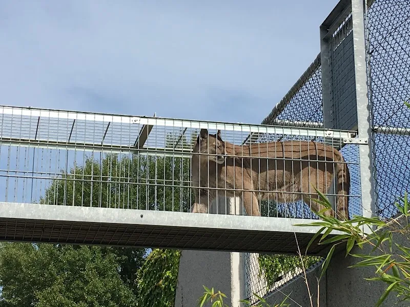 Frauenfeld, Plättli Zoo — Zoofachhandel in Frauenfeld, Thurgau. Bewertung 4.3/5.