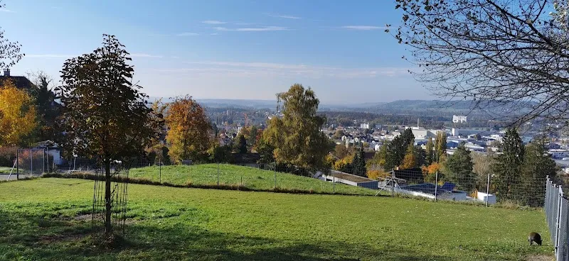 Frauenfeld, Plättli Zoo — Animalerie, Frauenfeld, Thurgovie. Foto 2