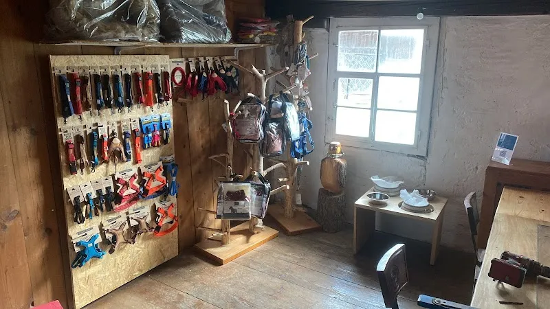 Hundestil — Zoofachhandel in Thundorf, Thurgau. Bewertung 4.9/5.