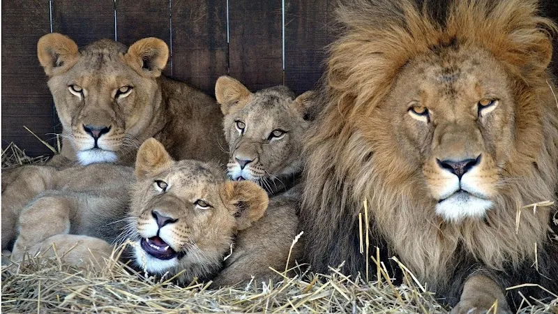Plättli-Zoo AG — Zoofachhandel in Frauenfeld, Thurgau. Bewertung 4.3/5.