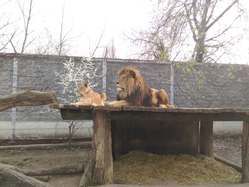 Plättli-Zoo AG — Zoofachhandel, Frauenfeld, Thurgau. Foto 3