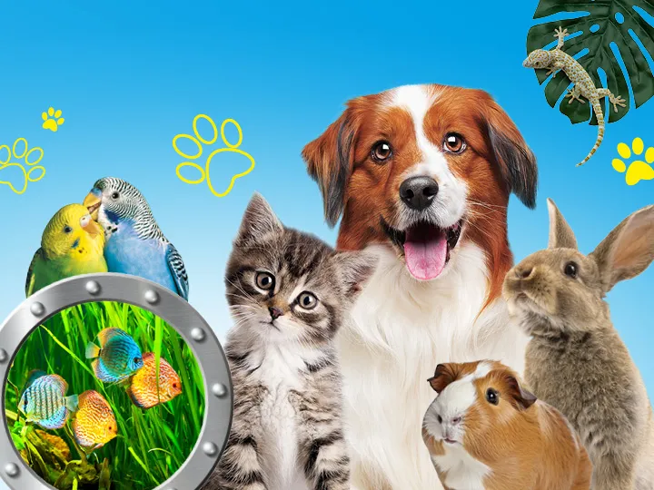 QUALIPET Center Amriswil — Zoofachhandel in Amriswil, Thurgau. Bewertung 4.0/5.