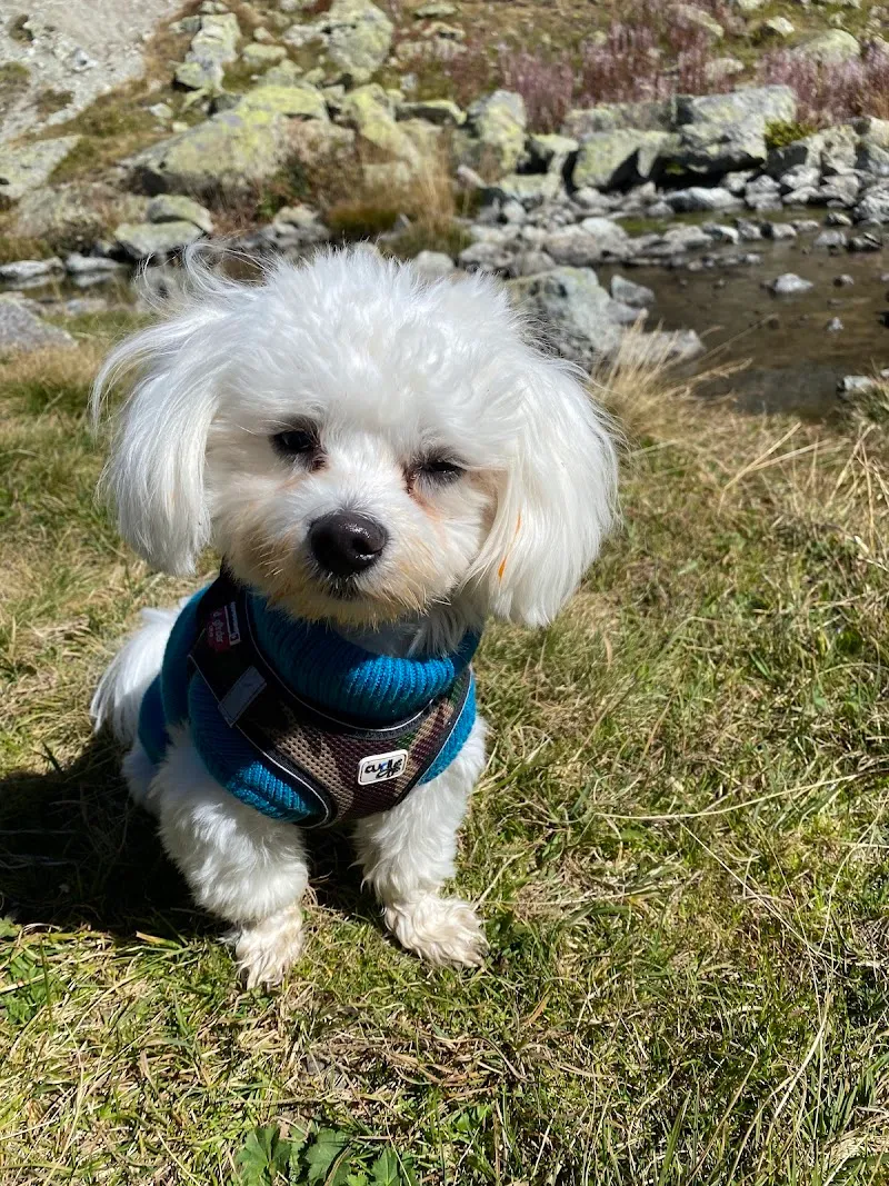 QUALIPET Center Amriswil — Zoofachhandel, Amriswil, Thurgau. Foto 2