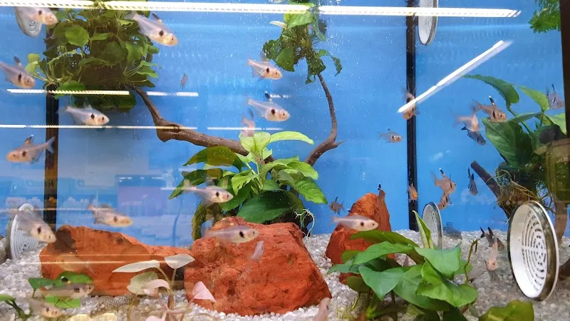 QUALIPET Center Kreuzlingen — Animalerie, Kreuzlingen, Thurgovie. Foto 3