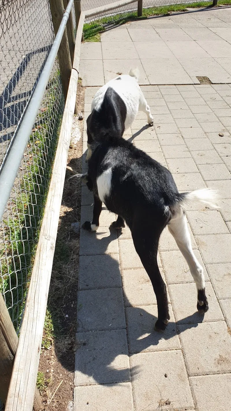 Streichelzoo — Zoofachhandel in Amriswil, Thurgau. Bewertung 5.0/5.