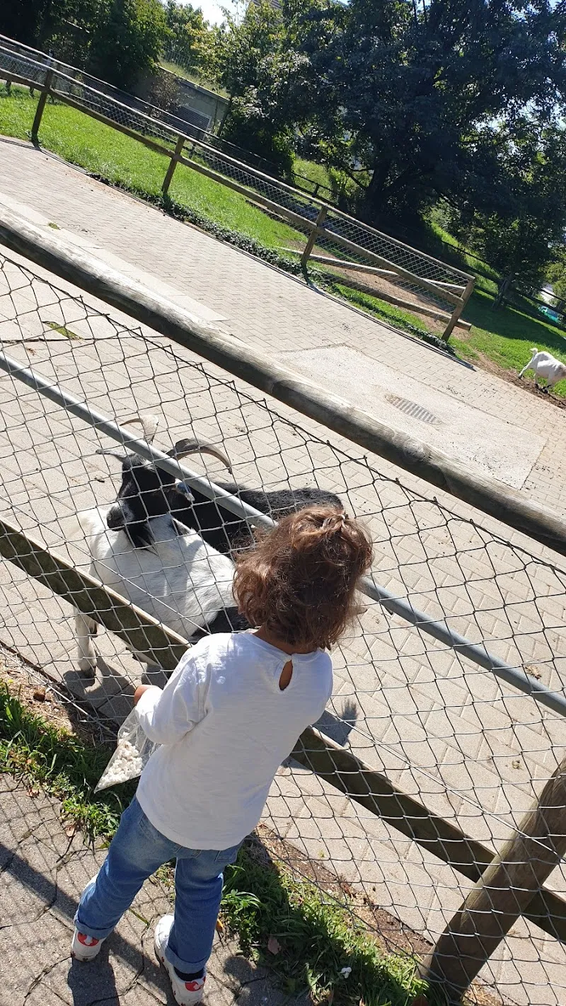 Streichelzoo — Animalerie, Amriswil, Thurgovie. Foto 3