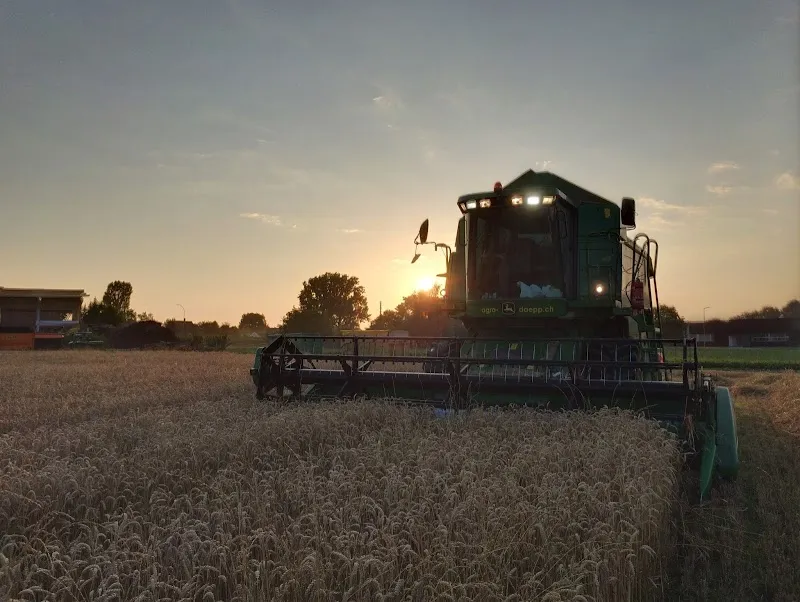 agro-daepp.ch | Lohnunternehmung & Biomassehof Ruedi Daepp — Zoofachhandel in Arbon, Thurgau. Bewertung 4.7/5.