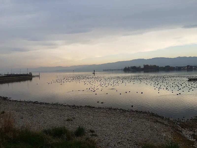 agro-daepp.ch | Lohnunternehmung & Biomassehof Ruedi Daepp — Zoofachhandel, Arbon, Thurgau. Foto 2
