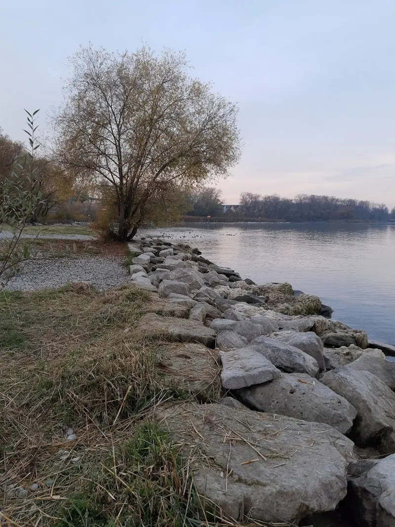 agro-daepp.ch | Lohnunternehmung & Biomassehof Ruedi Daepp — Zoofachhandel, Arbon, Thurgau. Foto 3