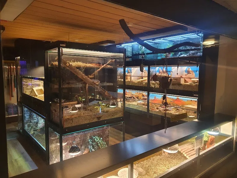 Tierlihuus am Lehn — Animalerie, Altdorf, Uri. Foto 2