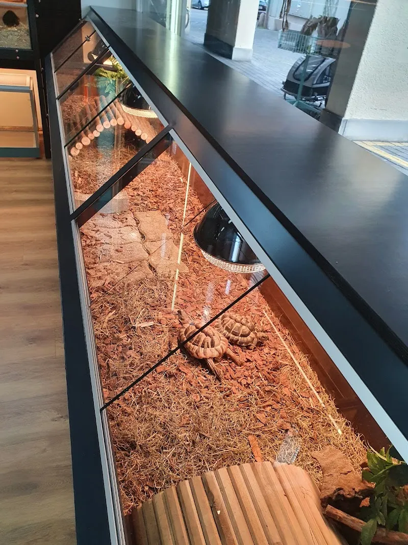 Tierlihuus am Lehn — Animalerie, Altdorf, Uri. Foto 3