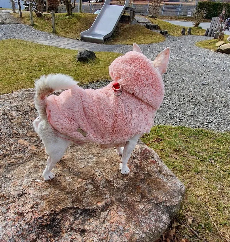 Trudy's Fuettertäsche Trudy Baumann — Zoofachhandel in Wolhusen, Luzern. Bewertung 4.8/5.