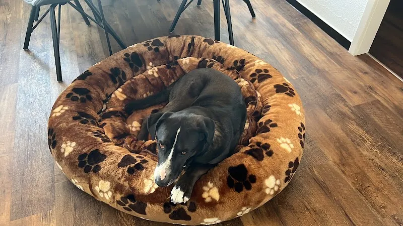 Trudy's Fuettertäsche Trudy Baumann — Animalerie, Wolhusen, Lucerne. Foto 2