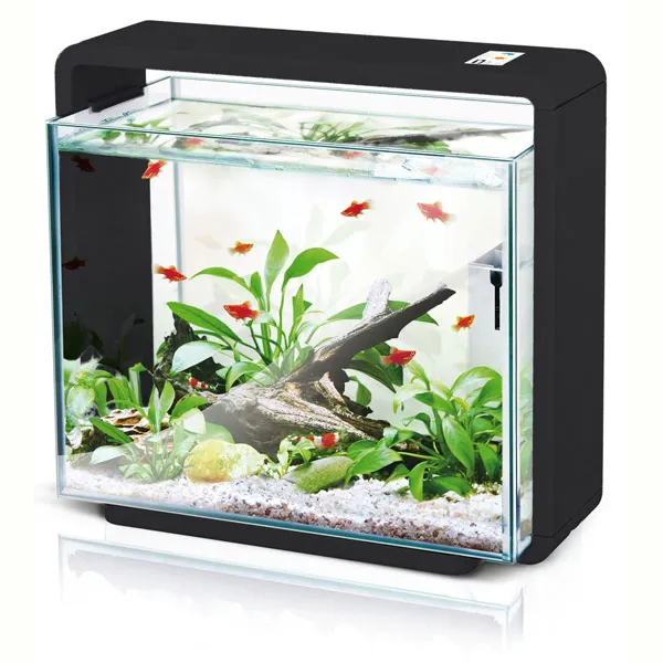 mypet.ch Tierbedarf Discount Shop — Animalerie, Schwanden, Glaris. Foto 2