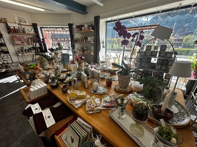 pourtoi gmbh — Zoofachhandel, Erstfeld, Uri. Foto 2