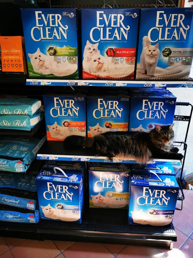 ANIMALEMENT VÔTRE — Animalerie, Gland, Vaud. Foto 2