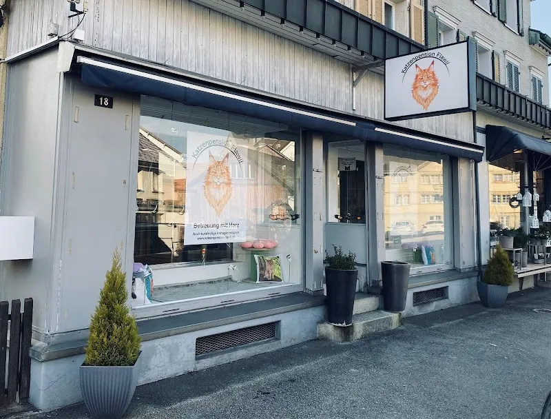 Katzenpension Flawil — Katzenpension in Flawil, St. Gallen. Bewertung 4.5/5.