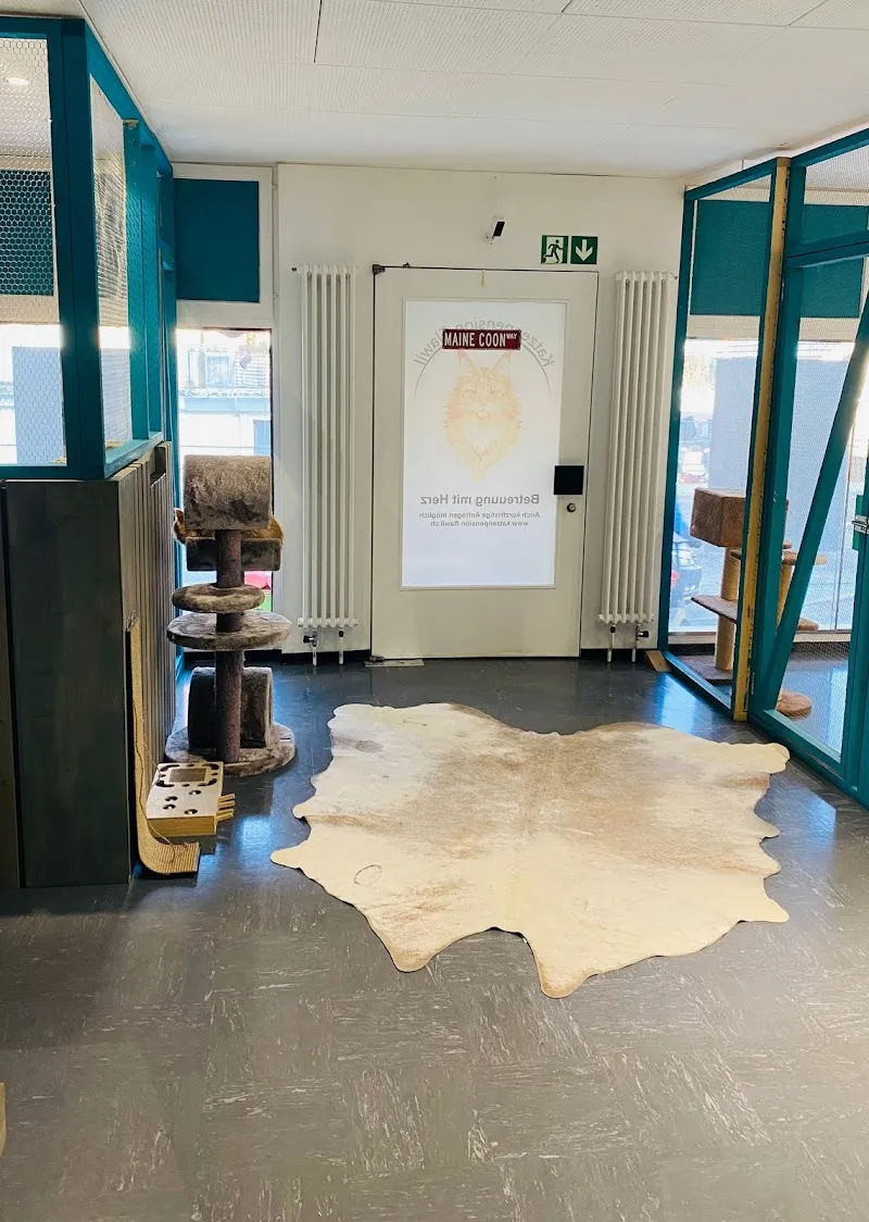 Katzenpension Flawil — Pension pour chats, Flawil, Saint-Gall. Foto 3