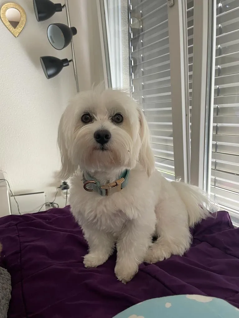 AnimaLook Karen — Zoofachhandel in Lausanne, Waadt. Bewertung 4.6/5.