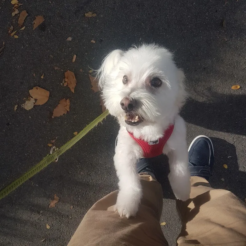 AnimaLook Karen — Animalerie, Lausanne, Vaud. Foto 3