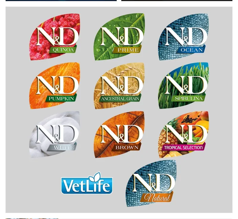 Animal City — Zoofachhandel, Lausanne, Waadt. Foto 2