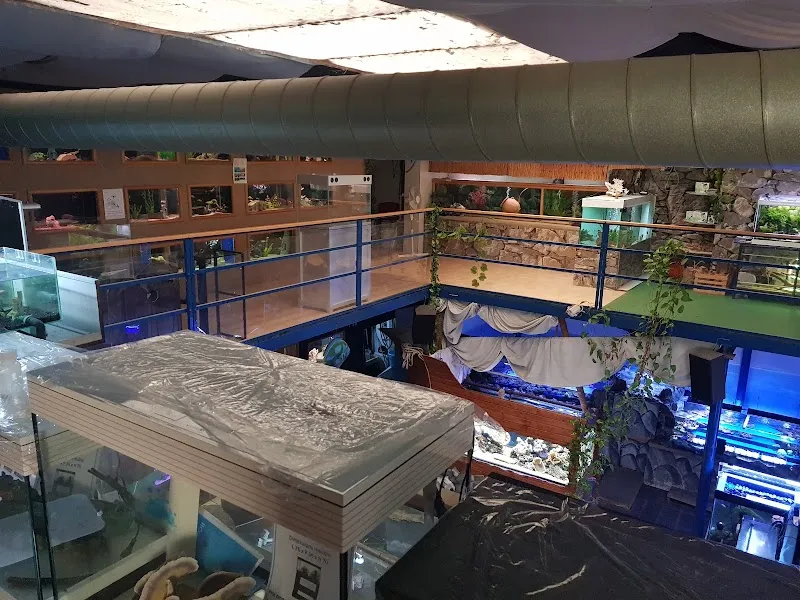 Aquablue — Zoofachhandel in Bex, Waadt. Bewertung 4.7/5.