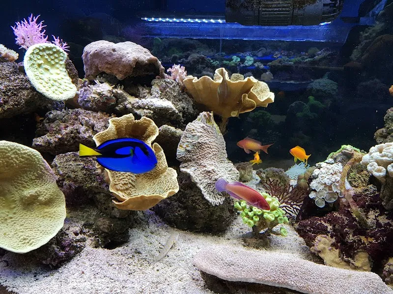 Aquablue — Zoofachhandel, Bex, Waadt. Foto 2