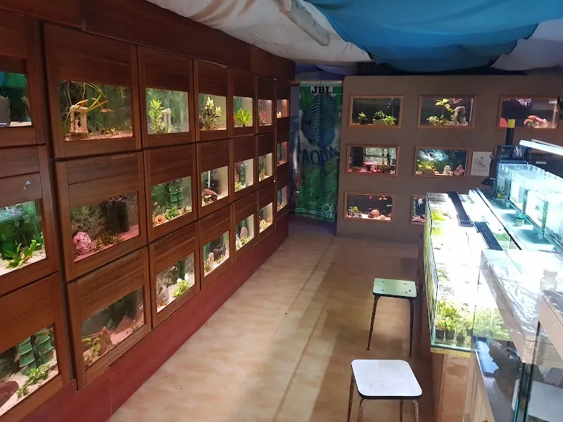 Aquablue — Zoofachhandel, Bex, Waadt. Foto 3