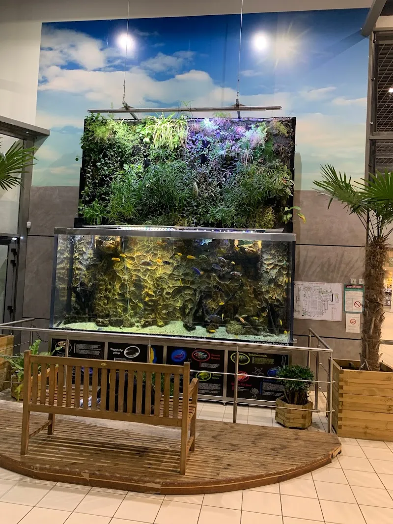 Aquarium-Bassin SARL — Zoofachhandel in Lausanne, Waadt. Bewertung 5.0/5.