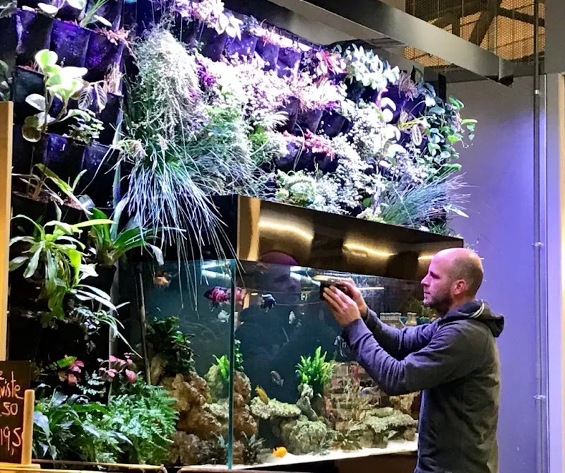 Aquarium-Bassin SARL — Animalerie, Lausanne, Vaud. Foto 2