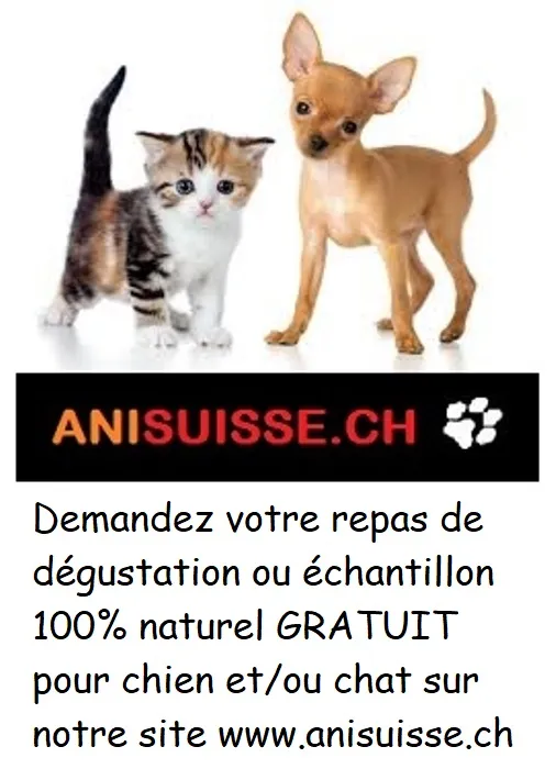Conseiller Anifit, nourriture naturel pour chien et chat, livraison à domicile — Zoofachhandel, Morges, Waadt. Foto 2