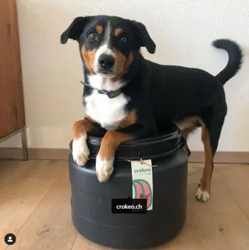 Crokeo — Zoofachhandel, Lausanne, Waadt. Foto 2