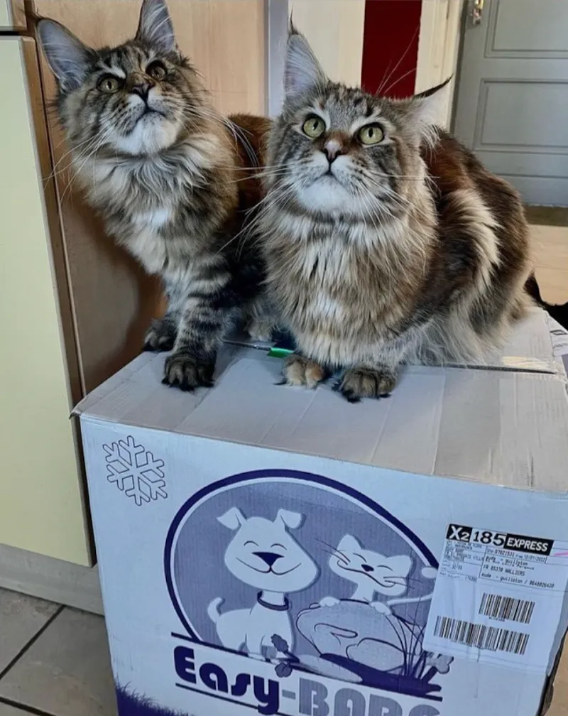 Easy-BARF — Zoofachhandel in Bussigny, Waadt. Bewertung 4.3/5.