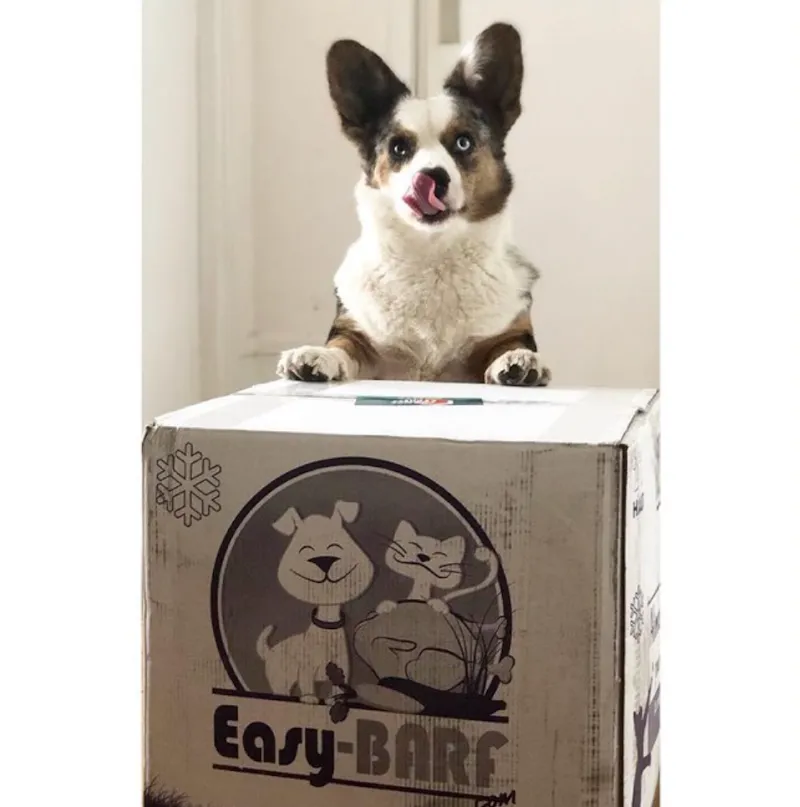 Easy-BARF — Animalerie, Bussigny, Vaud. Foto 2