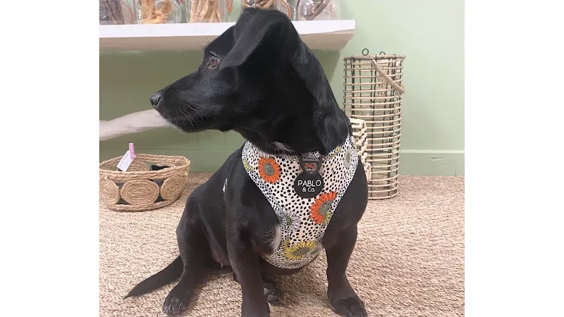 Flair & Co — Zoofachhandel in Morges, Waadt. Bewertung 4.8/5.