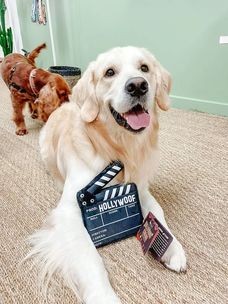 Flair & Co — Animalerie, Morges, Vaud. Foto 3