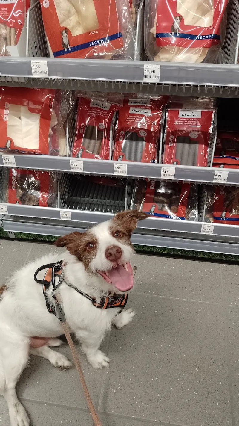 Fressnapf Lausanne — Zoofachhandel, Lausanne, Waadt. Foto 2