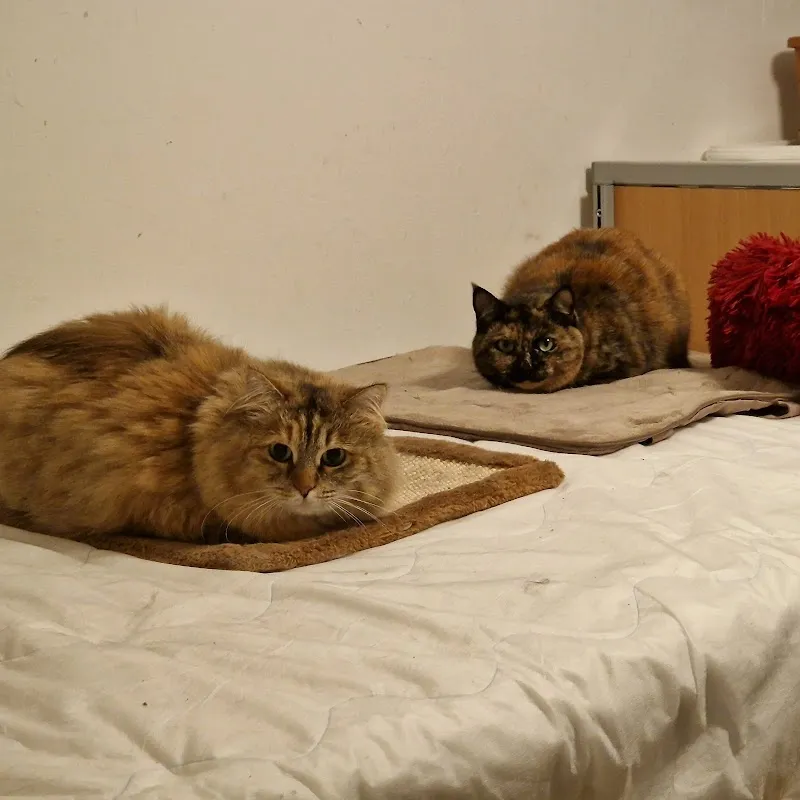 Fressnapf Lausanne — Zoofachhandel, Lausanne, Waadt. Foto 3