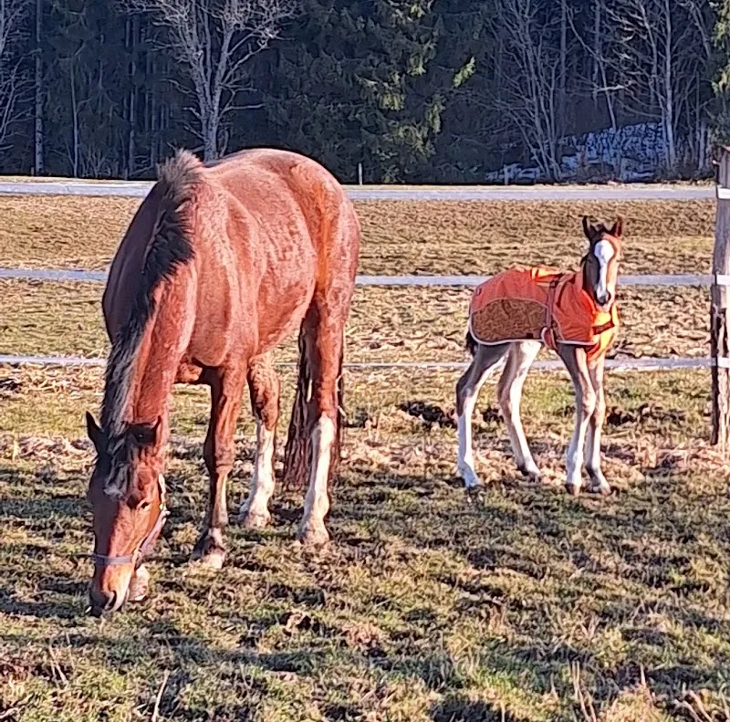 Fressnapf Yverdon — Zoofachhandel, Montagny-près-Yverdon, Waadt. Foto 2