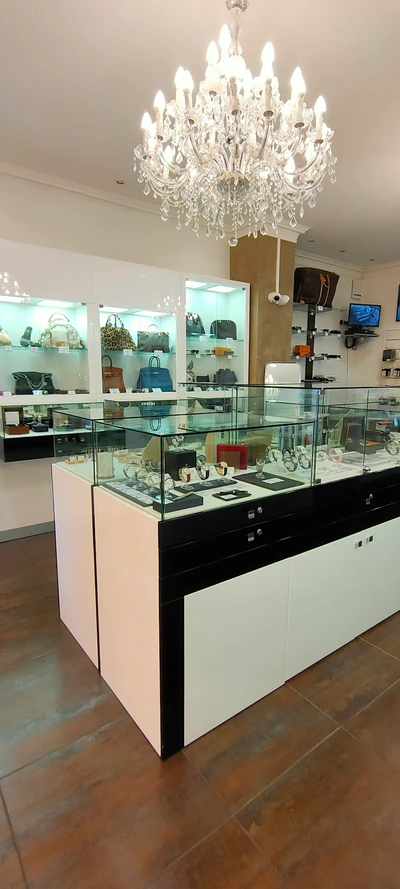 Gaya Montreux — Animalerie, Montreux, Vaud. Foto 3