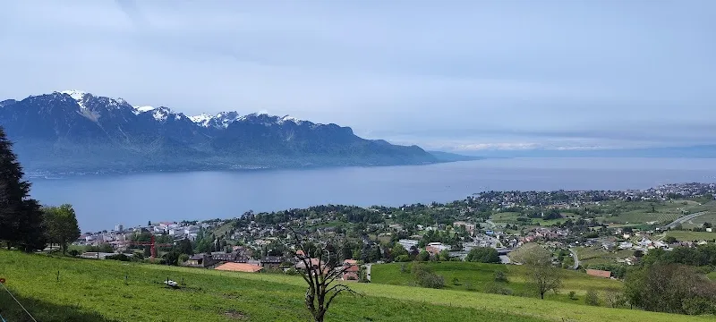Guibert Piscicultures SA — Zoofachhandel in Montreux, Waadt. Bewertung 4.5/5.