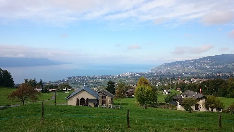 Guibert Piscicultures SA — Zoofachhandel, Montreux, Waadt. Foto 2