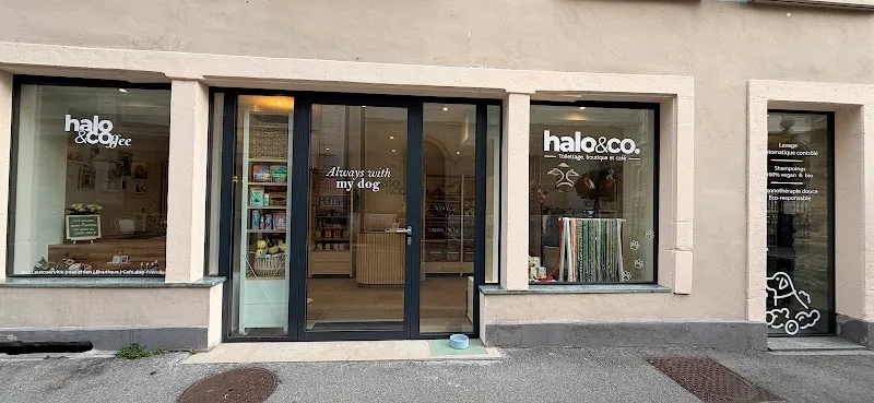 Halo & Co. Vevey - Lavage chiens libre-service, boutique, café — Zoofachhandel in Vevey, Waadt. Bewertung 5.0/5.