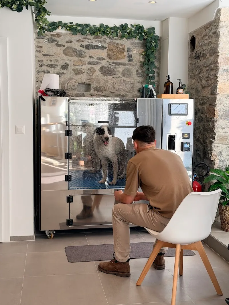 Halo & Co. Vevey - Lavage chiens libre-service, boutique, café — Zoofachhandel, Vevey, Waadt. Foto 2