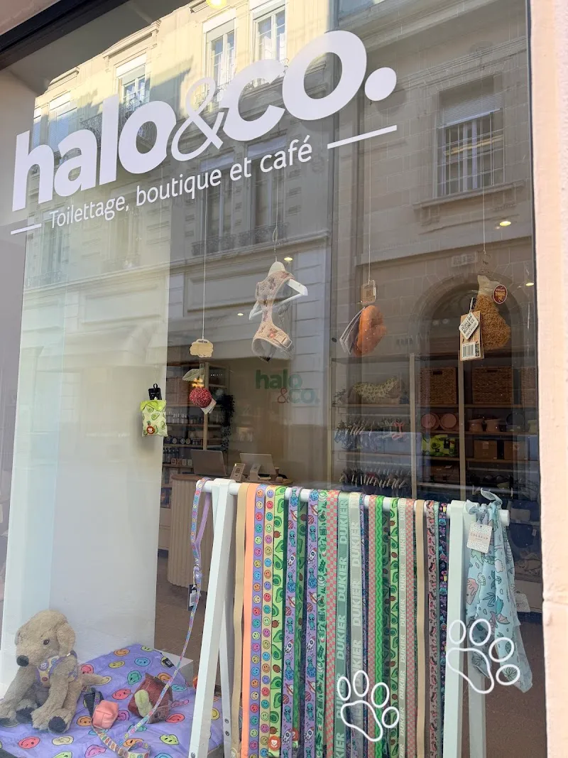 Halo & Co. Vevey - Lavage chiens libre-service, boutique, café — Zoofachhandel, Vevey, Waadt. Foto 3