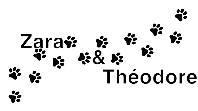 La boutique de Zara & Théodore — Zoofachhandel in Clarens, Waadt. 